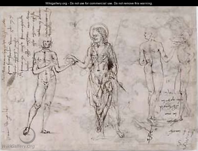 Sheet of studies with standing men St John the Baptist - Francesco di Simone da Fiesole Ferrucci