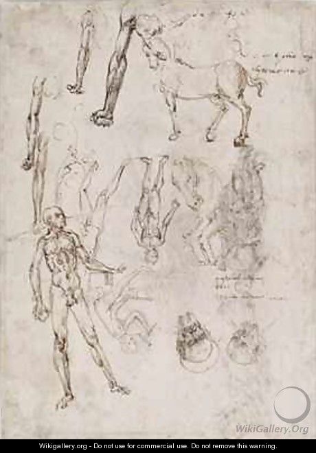 Sheet of studies with men and horses seated man striking an anvil two heads of saints - Francesco di Simone da Fiesole Ferrucci