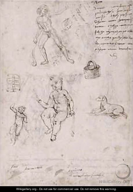 Sheet of studies with naked young man basket dog children - Francesco di Simone da Fiesole Ferrucci
