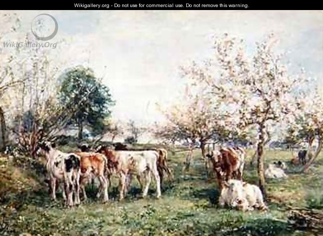 Calves in a Cherry Orchard - Mark Fisher