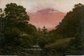 Mount Wellington from Cascades - Capt. John Haughton Forrest
