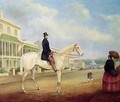 Rider on a white horse probably in Macquarie Street North - Joseph Fowles