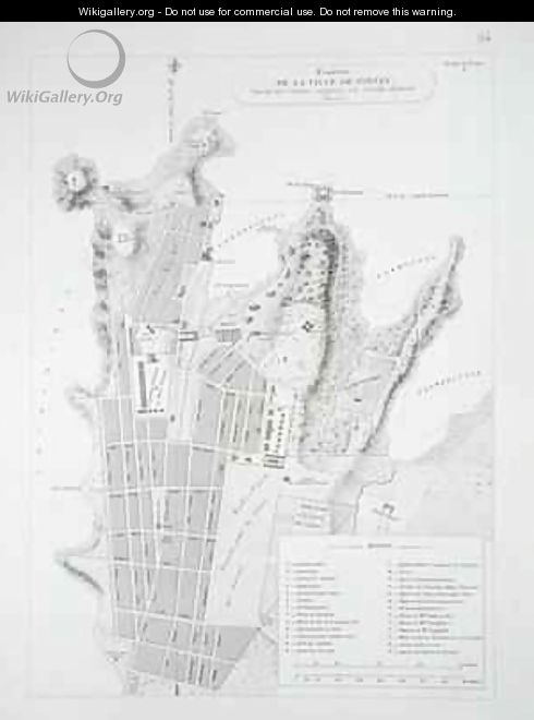 Plan of the Town of Sydney - Louis Claude Desaulses de Freycinet