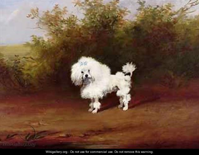 A Toy Poodle in a Landscape - Frederick French