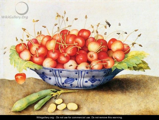 Chinese Porcelain Plate with Cherries - Giovanna Garzoni