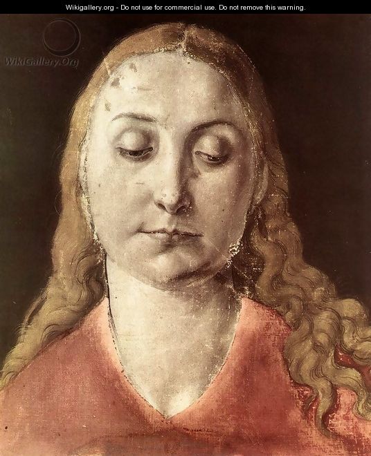 Head of a Woman 2 - Albrecht Durer
