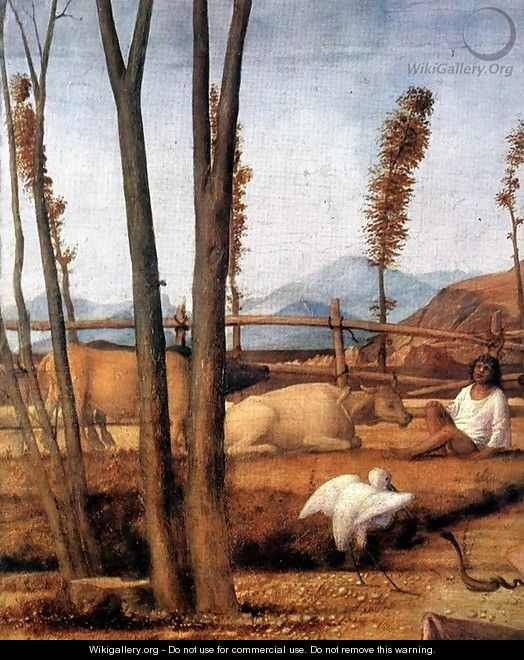 Madonna of the Meadow (detail) - Giovanni Bellini
