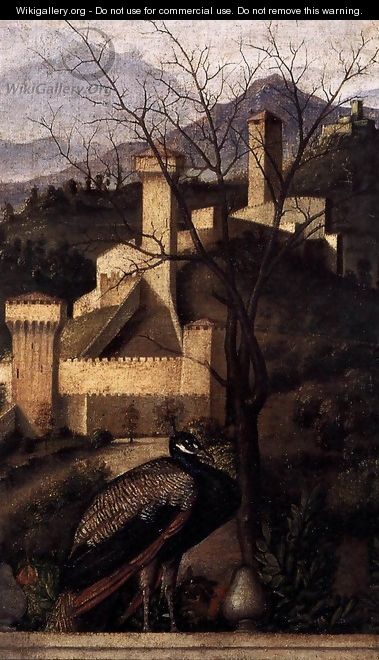 Barbarigo Altarpiece (detail) 3 - Giovanni Bellini