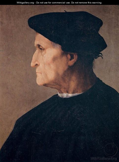 Portrait of a Man - Rosso Fiorentino (Giovan Battista di Jacopo)