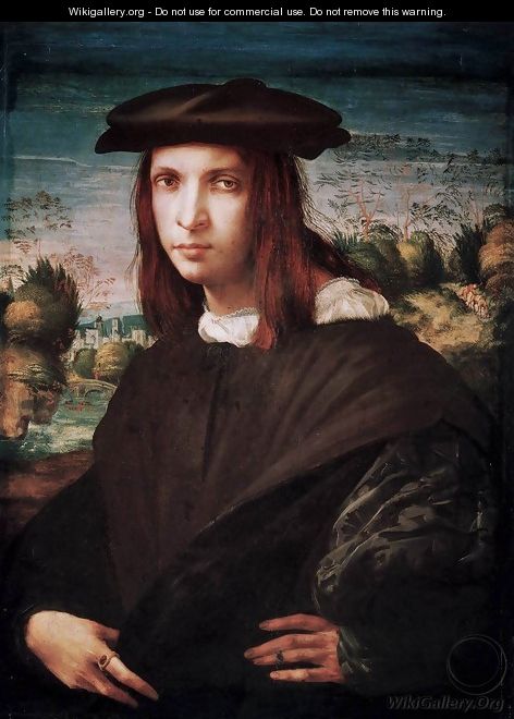 A Young Man - Rosso Fiorentino (Giovan Battista di Jacopo)
