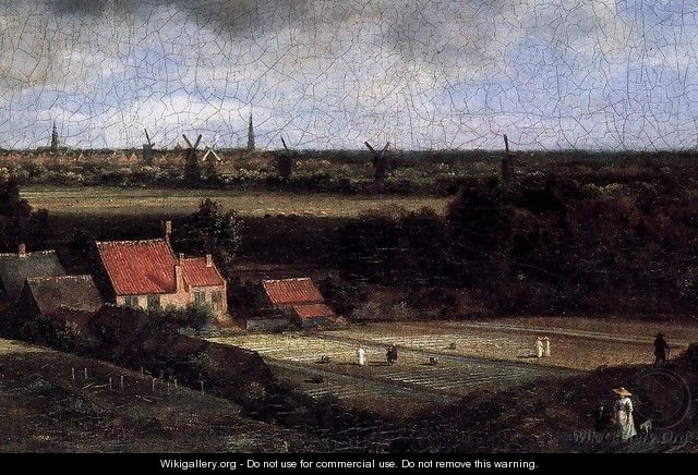 Landscape with a View of Haarlem (detail) - Jacob Van Ruisdael