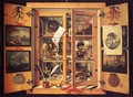 Cabinet of Curiosities - Domenico Remps