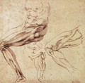 Three Studies of a Leg - Michelangelo Buonarroti