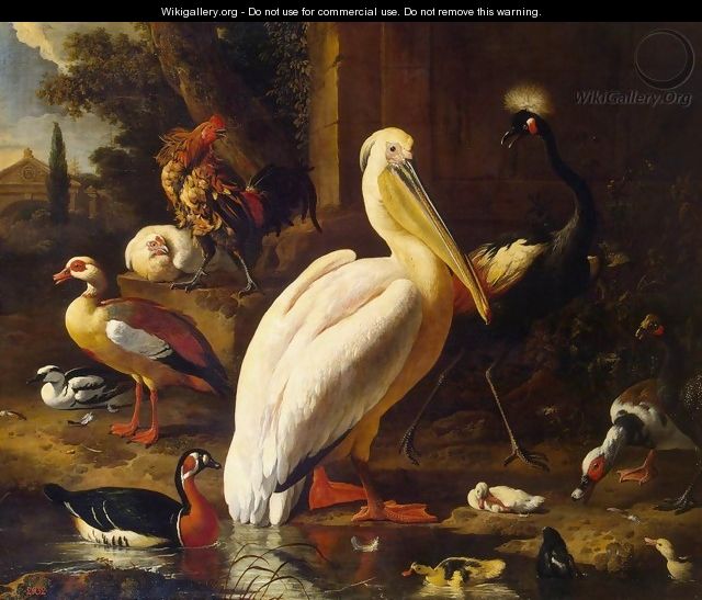 Birds in a Park 2 - Melchior de Hondecoeter