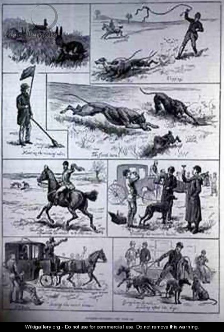 Coursing Matches - S. T. Dadd