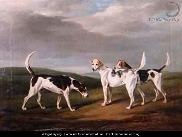 Foxhounds in a Landscape - William Henry Davis