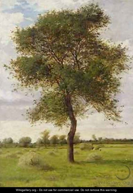 Study of an Ash Tree in Summer - James Hey Davies