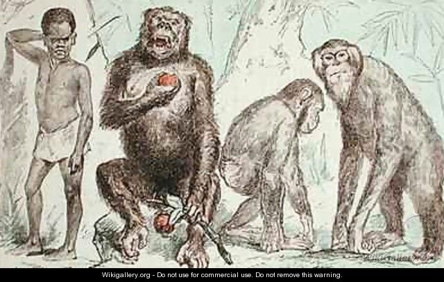 Evolution of Man from Mammals - A. Demarle