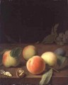 Fruit Still Life - Balthasar Denner