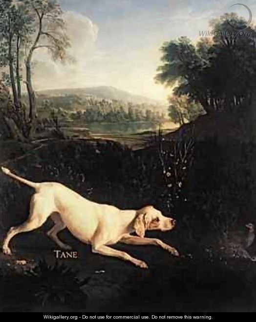 Louis XIVs Dog Tane - Alexandre-Francois Desportes
