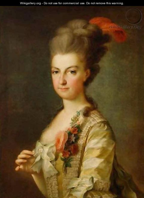 Princess Maria Christine Duchess of Saxony - Johann Baptist the Elder Lampi