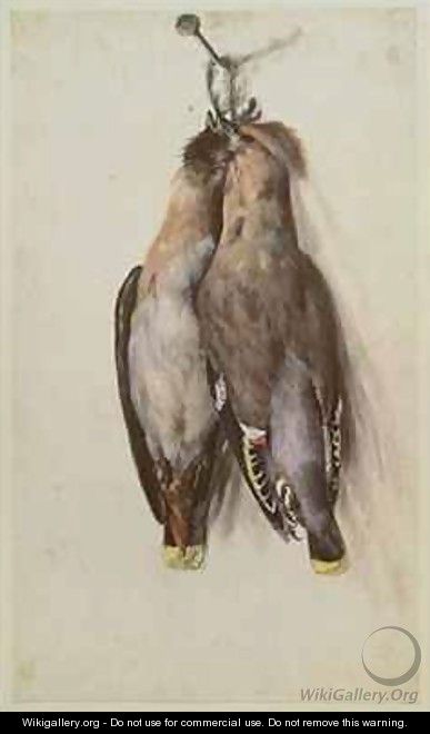 Still life with birds - Lucas The Elder Cranach