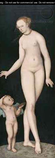 Venus and Cupid 3 - Lucas The Elder Cranach