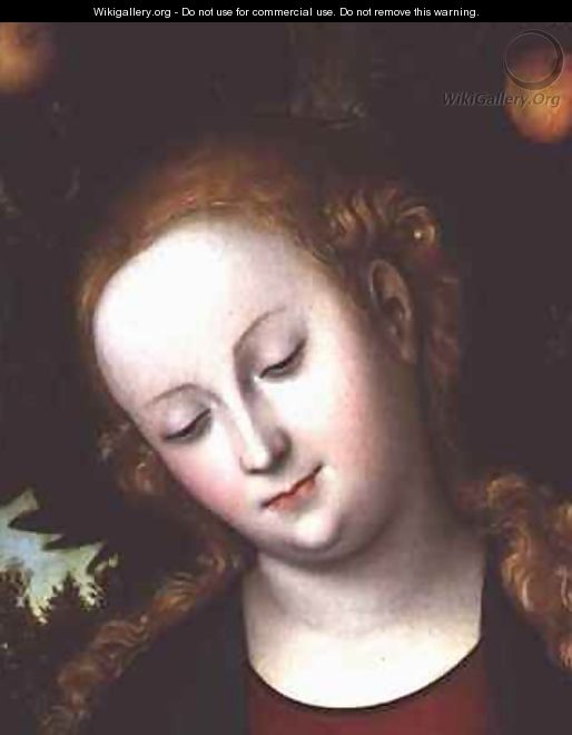 Head of the Virgin - Lucas The Elder Cranach