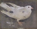 The Pigeon - Joseph Crawhall
