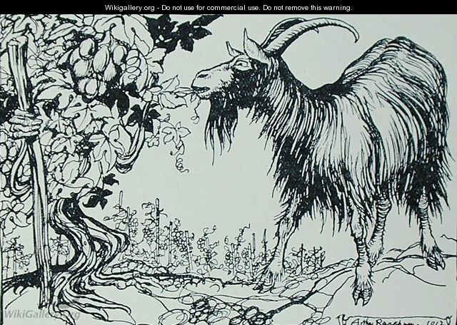 The Goat and the Vine, illustration from Aesops Fables, published by Heinemann, 1912 - Arthur Rackham
