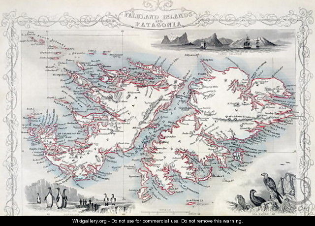 Falkland Islands and Patagonia, from a Series of World Maps published by John Tallis and Co., New York and London, 1850s - John Rapkin
