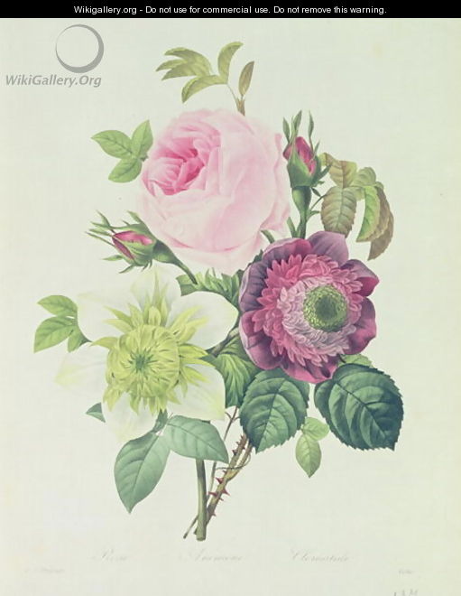 Rose, anemone and Clematide - Pierre-Joseph Redouté