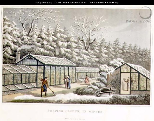 Forcing Garden in Winter, from Fragments on the Theory and Practice of Landscape Gardening, pub. 1816 - Humphry Repton