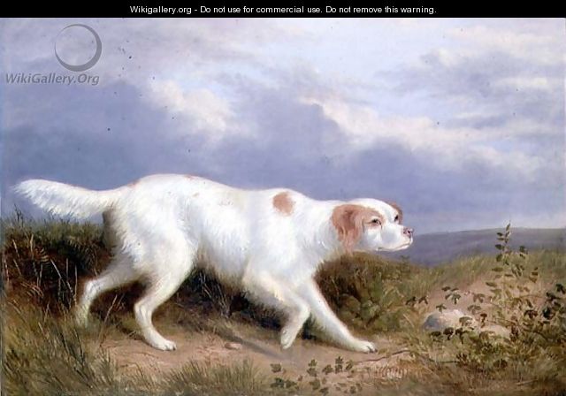 A Setter on the Moor - Philip Reinagle