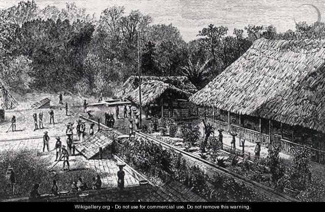 Workers on a Coffee Plantation - (after) Reynolds, F.M.