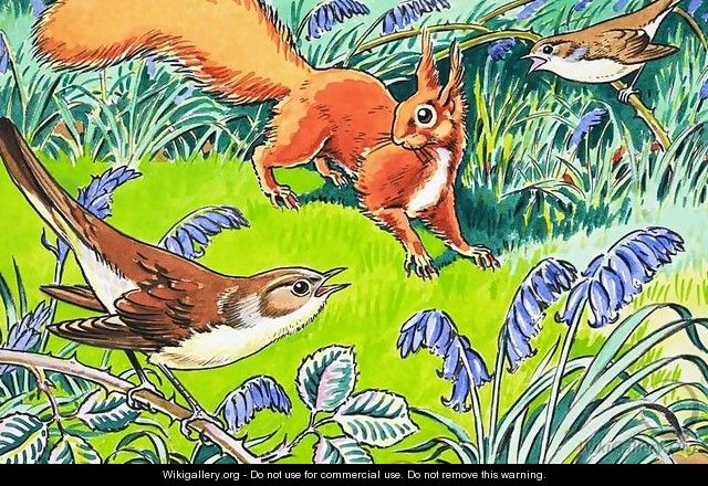 Little Red Squirrel 9 - Harry M. Pettit