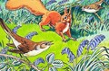 Little Red Squirrel 9 - Harry M. Pettit