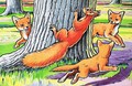 Little Red Squirrel 6 - Harry M. Pettit