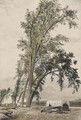 Council Bluffs Ferry and a Group of Cottonwood Trees, Iowa, 1853 - Frederick Piercy