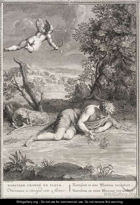 Narcissus Transformed into a Flower, 1730 - Bernard Picart