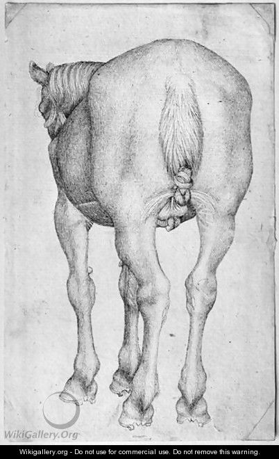 Horse, from the The Vallardi Album - Antonio Pisano (Pisanello)