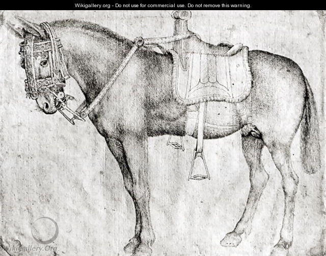 Mule, from the Vallardi Album - Antonio Pisano (Pisanello)