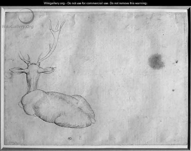Resting stag, seen from behind, from the The Vallardi Album - Antonio Pisano (Pisanello)