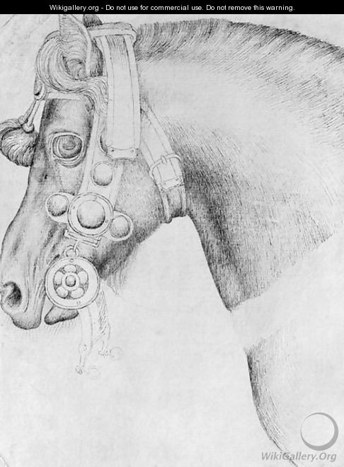 Head of a horse, from the The Vallardi Album 2 - Antonio Pisano (Pisanello)