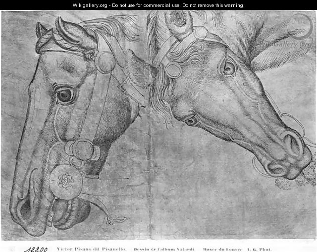 Heads of horses, from the The Vallardi Album - Antonio Pisano (Pisanello)