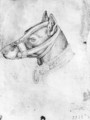 Head of a muzzled dog, from the The Vallardi Album - Antonio Pisano (Pisanello)
