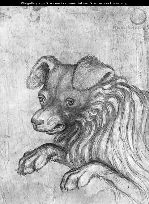 Head of a dog, from the The Vallardi Album - Antonio Pisano (Pisanello)