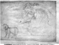 Ram and head of a ram, from the The Vallardi Album - Antonio Pisano (Pisanello)