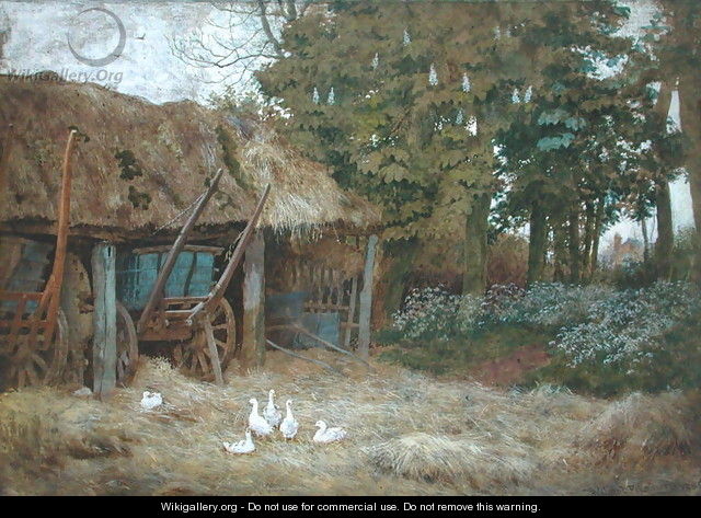 Ducks, 1880 - Wilmot, R.W.S. Pilsbury