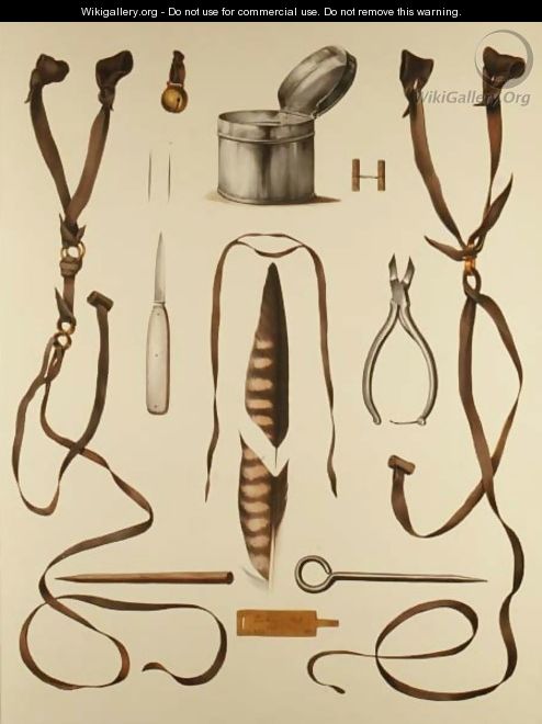 Equipment for Falconry, from Traite de Fauconnerie by H. Schlegel and A.H. Verster de Wulverhorst, 1844-53 2 - Wouw Portman & Van